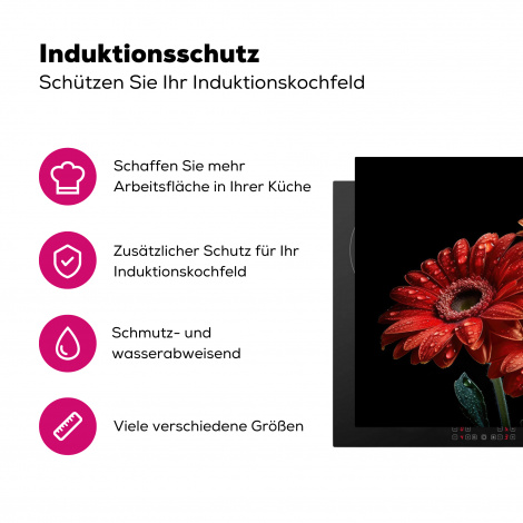 Herdabdeckplatte - Blumen - Botanisch - Rot - Gerbera - Natur-3