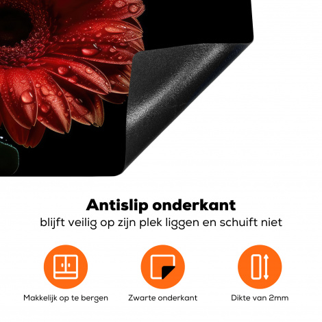 Inductiebeschermer - Bloemen - Botanisch - Rood - Gerbera - Natuur-4