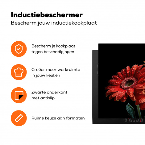 Inductiebeschermer - Bloemen - Botanisch - Rood - Gerbera - Natuur-3