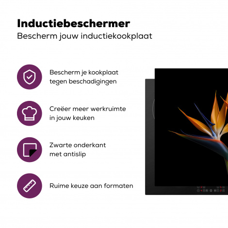 Inductiebeschermer - Planten - Bloemen - Paradijsvogelbloem - Portret - Zwart-3