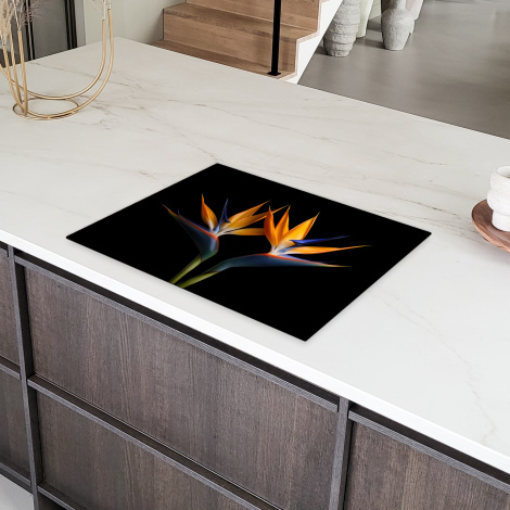 Herdabdeckplatte - Pflanzen - Blumen - Paradiesvogelblume - Porträt - Schwarz-6