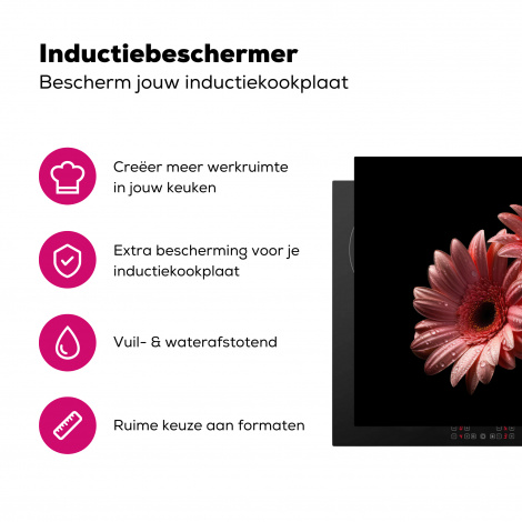 Inductiebeschermer - Bloemen - Gerbera - Roze - Natuur - Portret-3