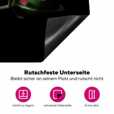 Herdabdeckplatte - Blumen - Gerbera - Rosa - Natur - Porträt-4