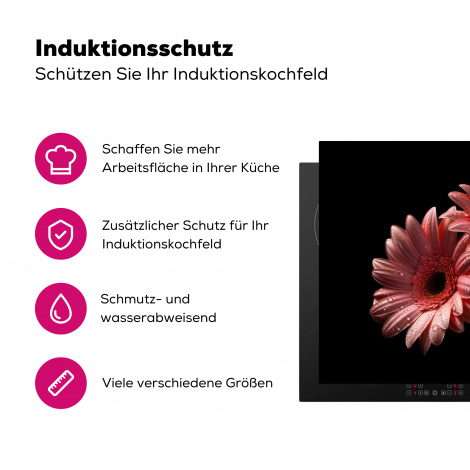 Herdabdeckplatte - Blumen - Gerbera - Rosa - Natur - Porträt-3