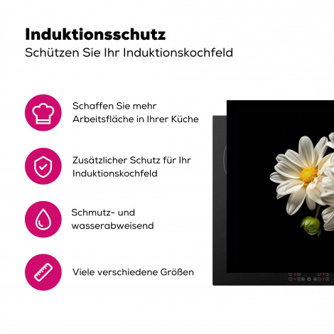 Herdabdeckplatte - Blumen - Gänseblümchen - Weiß - Botanisch - Natur-3