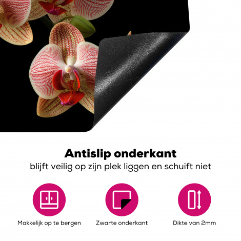 Inductiebeschermer - Bloemen - Orchidee - Roze - Botanisch - Natuur-4