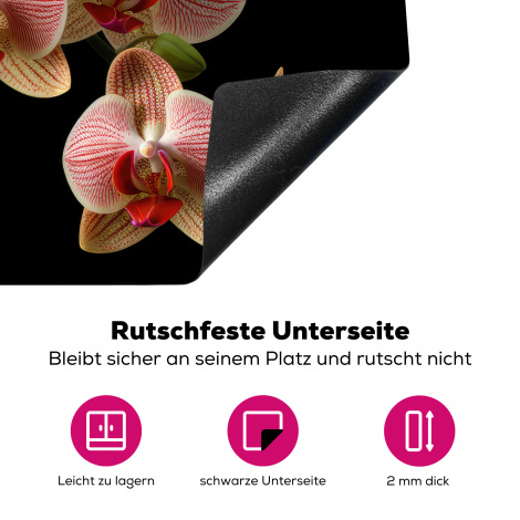 Herdabdeckplatte - Blumen - Orchidee - Rosa - Botanisch - Natur-4