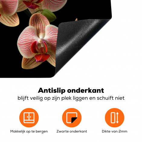 Inductiebeschermer - Bloemen - Orchidee - Roze - Botanisch - Natuur-4