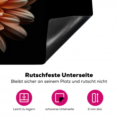 Herdabdeckplatte - Blumen - Orange - Natur - Chrysantheme - Schwarz-4
