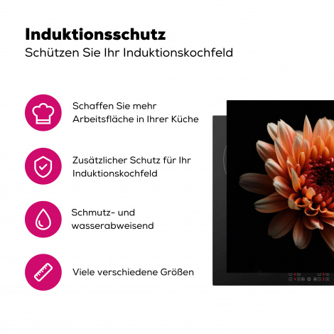 Herdabdeckplatte - Blumen - Orange - Natur - Chrysantheme - Schwarz-3