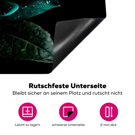 Herdabdeckplatte - Blumen - Rosen - Blau - Porträt - Schwarz-4