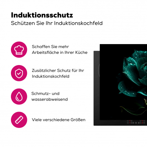 Herdabdeckplatte - Blumen - Rosen - Blau - Porträt - Schwarz-3