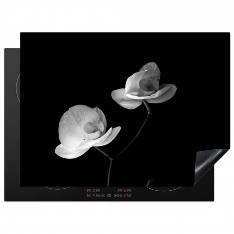 Herdabdeckplatte - Orchidee - Blumen - Schwarz - Weiß