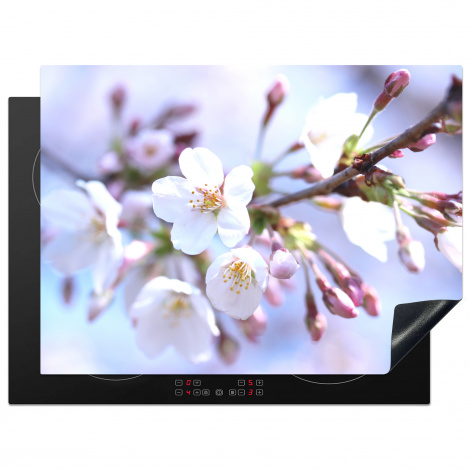 Herdabdeckplatte - Blumen - Sakura - Zweig - Blütendolden