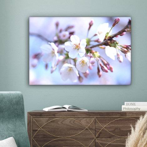 Canvas schilderij - Bloemen - Sakura - Tak - Bloesem takken-4