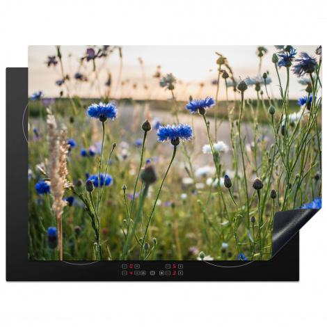 Herdabdeckplatte - Blumen - Sommer - Kornblume - Blau - Sonne - Wolken
