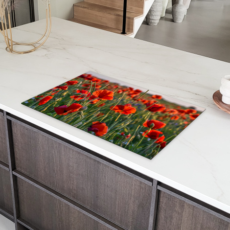 Herdabdeckplatte - Blumen - Mohnblumen - Natur - Rot-6