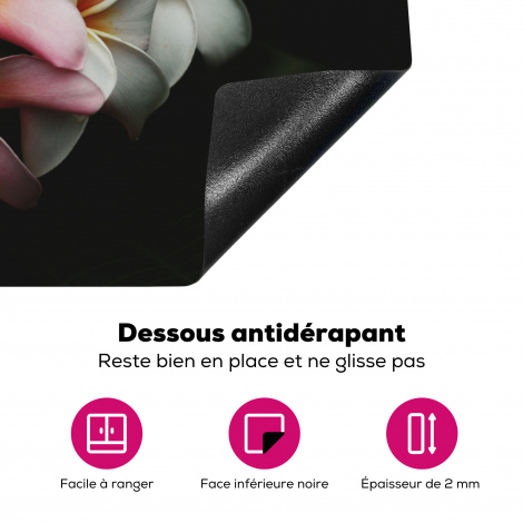 Protège-plaque à induction - Fleurs - Rose - Noir - Flora - Botanique-4