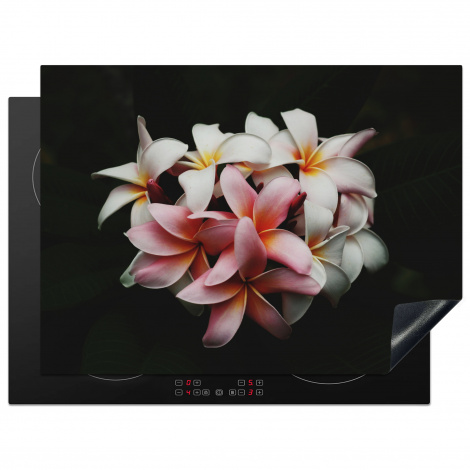 Herdabdeckplatte - Blumen - Rosa - Schwarz - Flora - Botanisch