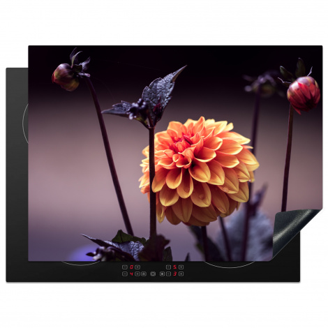 Herdabdeckplatte - Blumen - Chrysantheme - Makro - Pflanzen