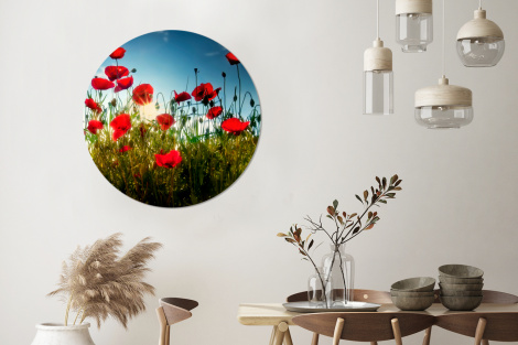 Runde Bilder - Mohnblumen - Toskana - Sonne - Rot - Blau-3