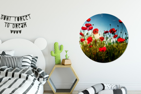 Runde Bilder - Mohnblumen - Toskana - Sonne - Rot - Blau-2