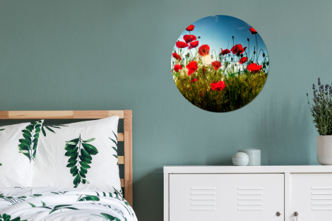 Runde Bilder - Mohnblumen - Toskana - Sonne - Rot - Blau-4