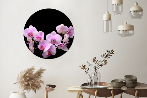 Runde Bilder - Orchidee - Blumen - Rosa - Schwarzer Hintergrund-3