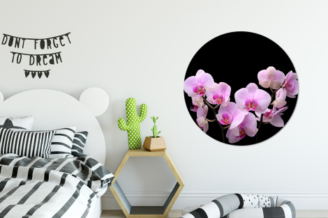 Runde Bilder - Orchidee - Blumen - Rosa - Schwarzer Hintergrund-2