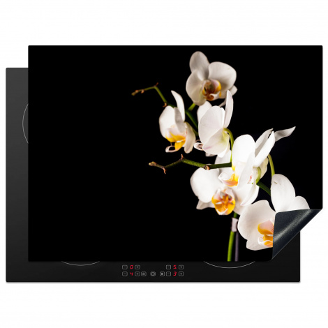 Herdabdeckplatte - Orchidee - Blumen - Pflanzen - Botanisch