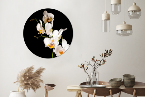 Runde Bilder - Orchidee - Blumen - Pflanzen - Botanisch-3