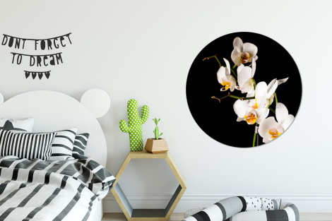 Runde Bilder - Orchidee - Blumen - Pflanzen - Botanisch-2