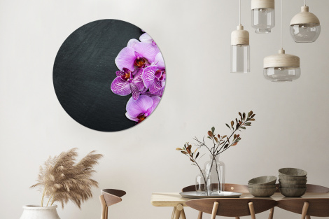 Runde Bilder - Orchidee - Blumen - Rosa - Flora-3