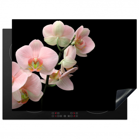 Herdabdeckplatte - Flora - Orchidee - Blumen