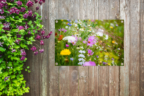 Tuinposter - Bloemen - Natuur - Groen - Gras - Paars - Wit - Liggend-4