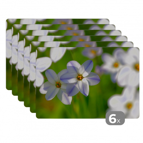 Premium placemats (6 stuks) - Bloemen - Tuin - Paars - 45x30 cm