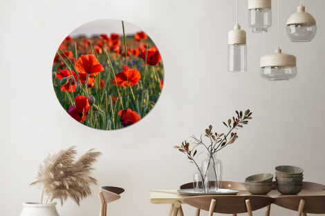 Runde Bilder - Blumen - Mohnblumen - Natur - Rot-3