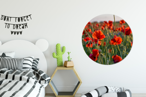 Runde Bilder - Blumen - Mohnblumen - Natur - Rot-2