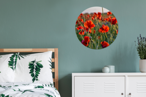 Runde Bilder - Blumen - Mohnblumen - Natur - Rot-4