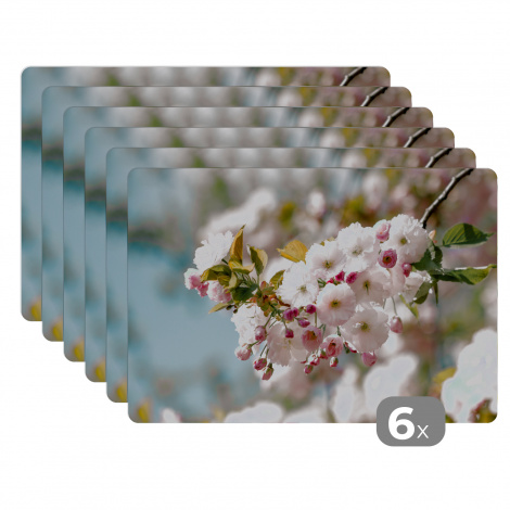 Tischset (6er Set) - Blumen - Blüte - Frühling - 45x30 cm