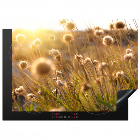 Herdabdeckplatte - Pflanzen - Natur - Blumen - Sonne - Horizont