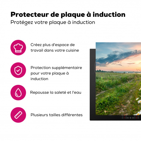 Protège-plaque à induction - Fleurs - marguerite - Nature - Soleil - Horizon-3