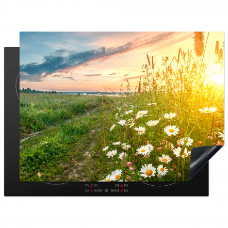 Herdabdeckplatte - Blumen - Gänseblümchen - Natur - Sonne - Horizont