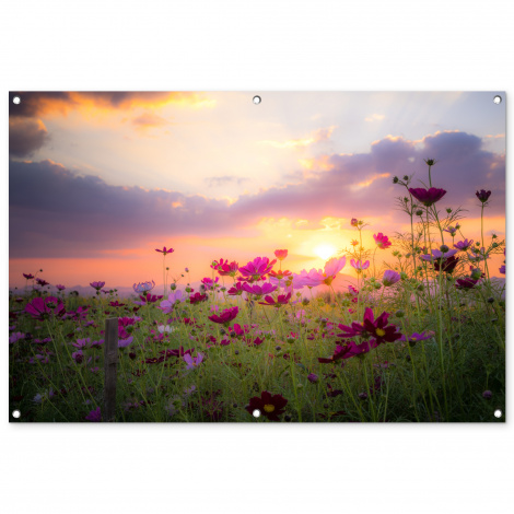 Tuinposter - Bloemen - Roze - Zonsondergang - Natuur - Weide - Horizon - Liggend