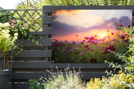 Tuinposter - Bloemen - Roze - Zonsondergang - Natuur - Weide - Horizon - Liggend-2