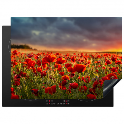 Herdabdeckplatte - Sonnenuntergang - Mohnblumen - Rot - Blumen - Feld - Natur