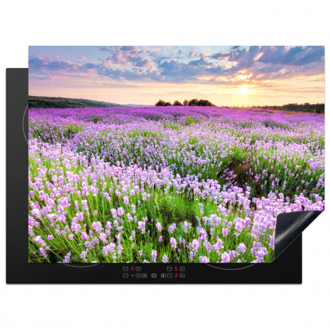 Herdabdeckplatte - Blumen - Lavendel - Lila - Himmel - Sonnenuntergang - Wiese - Natur