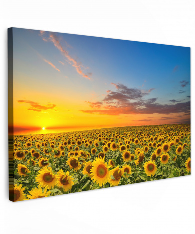 Canvas schilderij - Bloemen - Zonnebloem - Zonsondergang - Nacht