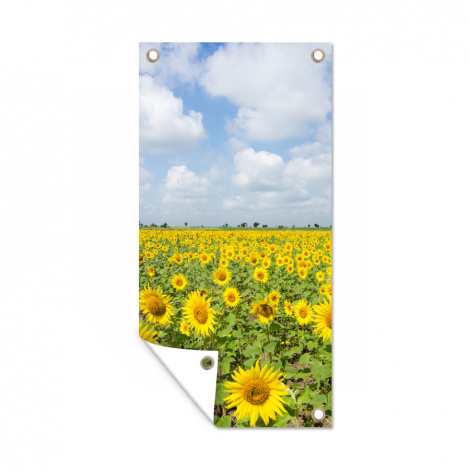 Tuinposter - Zonnebloemen - Bloemen - Wolken - Natuur - Geel - Landschap - Staand