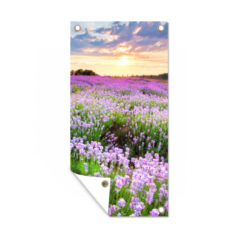 Tuinposter - Bloemen - Lavendel - Paars - Lucht - Zonsondergang - Weide - Natuur - Staand